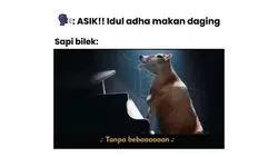Sapi Aku Pulang