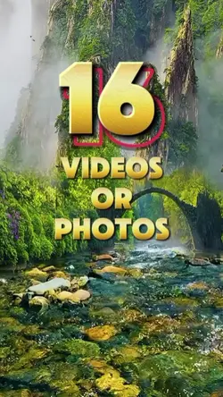 16 videoo or photos