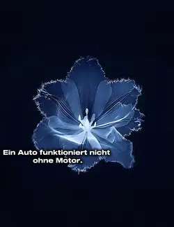 funktioniert nicht 