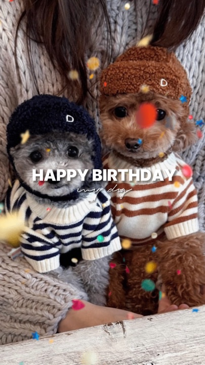 HPBD MI PERRO