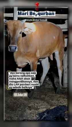 Hewan QURBAN