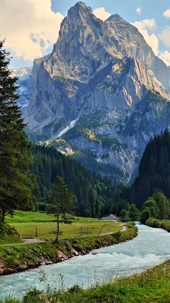 9 clips nature