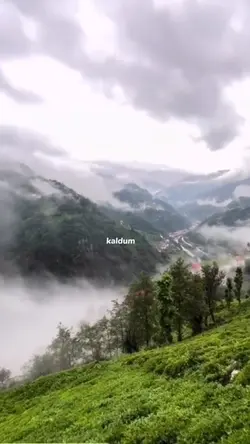 Taşacak bu deniz