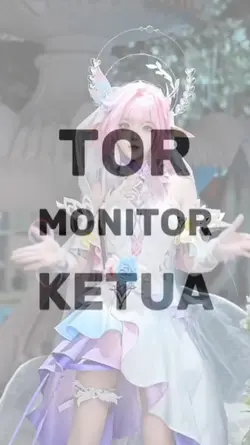 Tor monitor ketua 