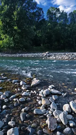 Molti colori