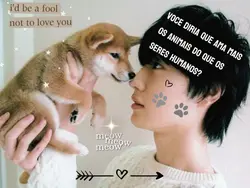 os animais...|