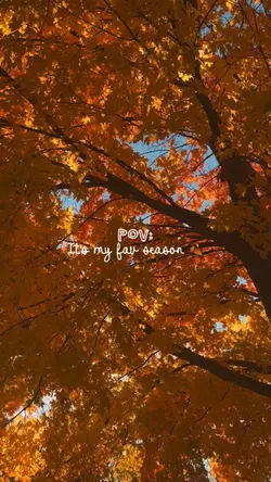 fav season 🍂