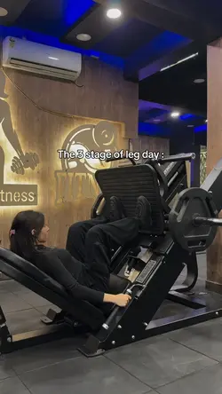 The 3 stage of leg d