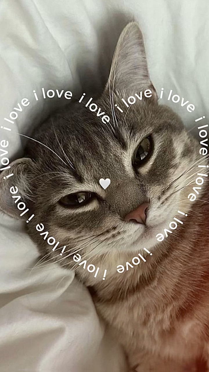 aku cinta