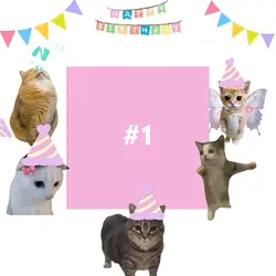 HAPPY BIRTHDAY!!!