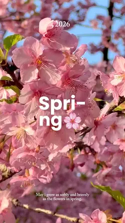 Spring 2026
