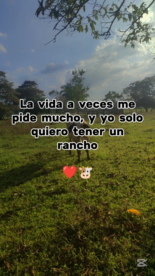 Tener un rancho