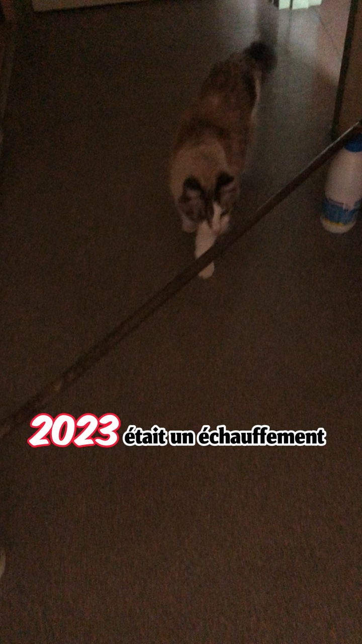 Mbb on va y arriver👹