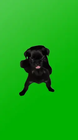 FUNNY BLACK DOGGY