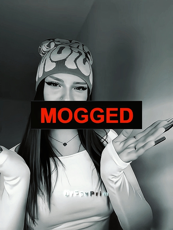 MOGGED TREND