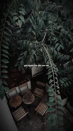 1 ảnh