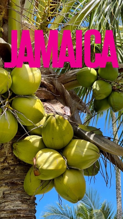 Jamaica Vacation 