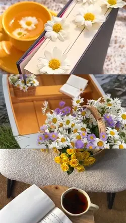 Beauty moment