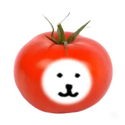 농담곰 짤 나누미