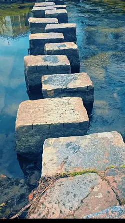 곡 명
허망한 길
음원출처 늦빛