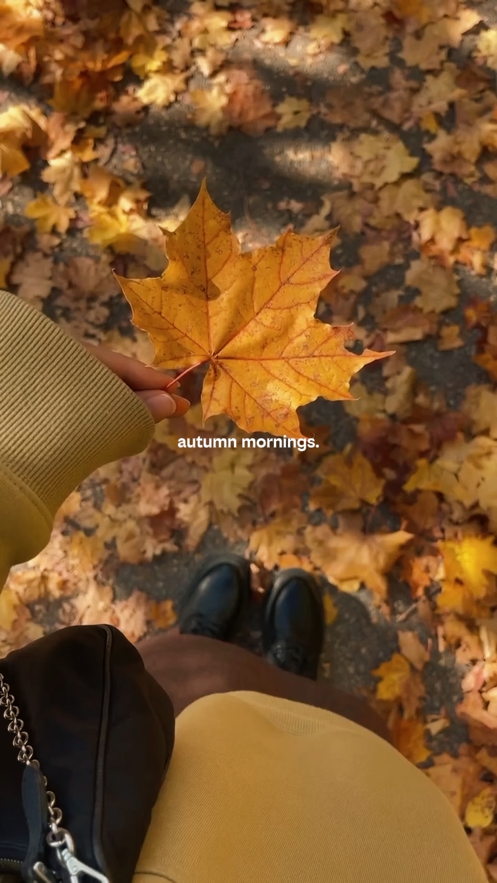 autumn mornings 