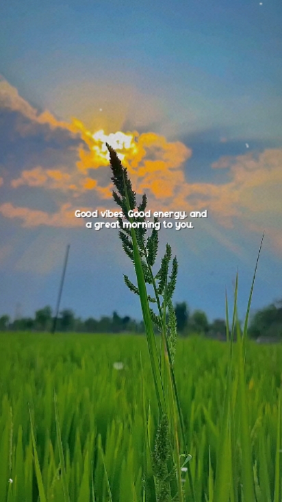 great morning to you