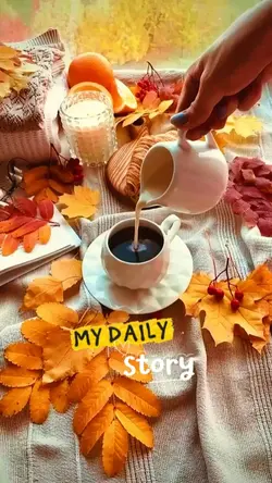 story 7 photos 