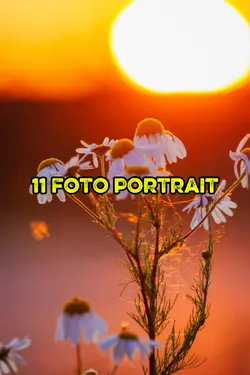 11 foto portrait