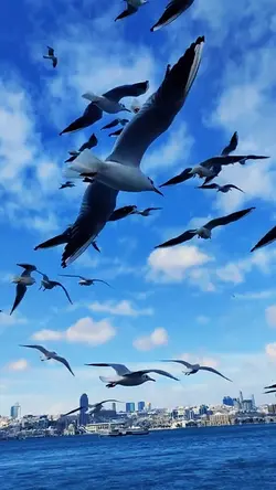 Yeni yıldan beklentm