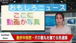 おもしろニュース