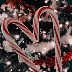 ⋆. 𐙚˚𝓒hristmas