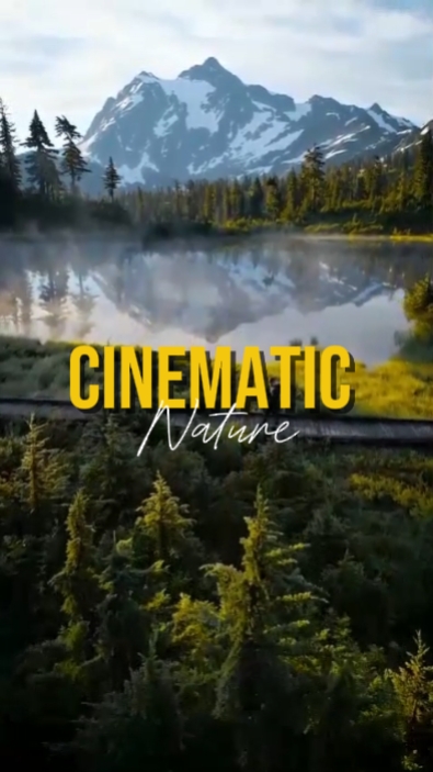 cinématique 