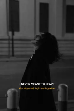 I never meant