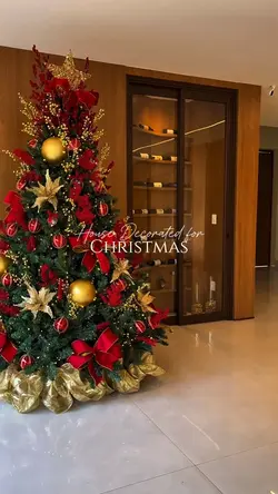 House | Christmas 