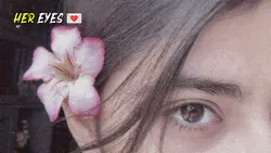 Eyes Template Video 