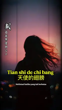 Tian shi de chi bang