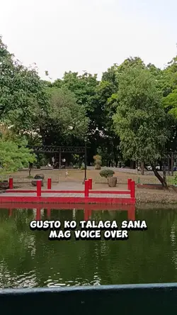 Voice Over