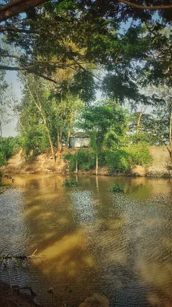 Chữ duyên chữ nợ