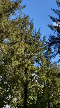 10 Seconds Of Spring