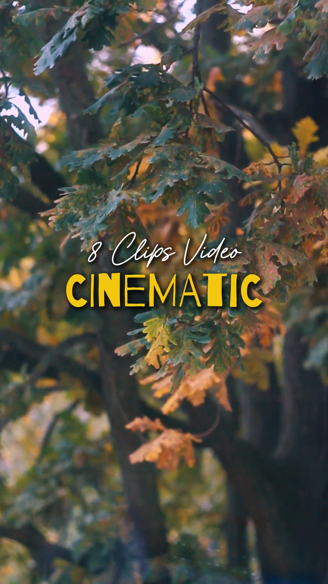 Vídeo Cinematográfico 8