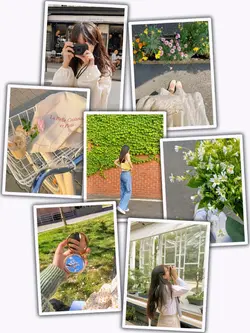 7Pic Frame Aesthetic