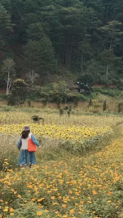 Slowmo 9 nyawa