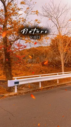 Nature Vibes Autumn