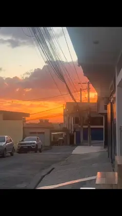 choramos porque dói