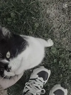 he's my baby