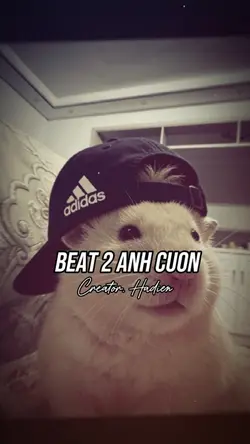 BEAT 2 ẢNH CUỐN