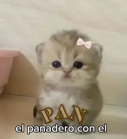 panadero