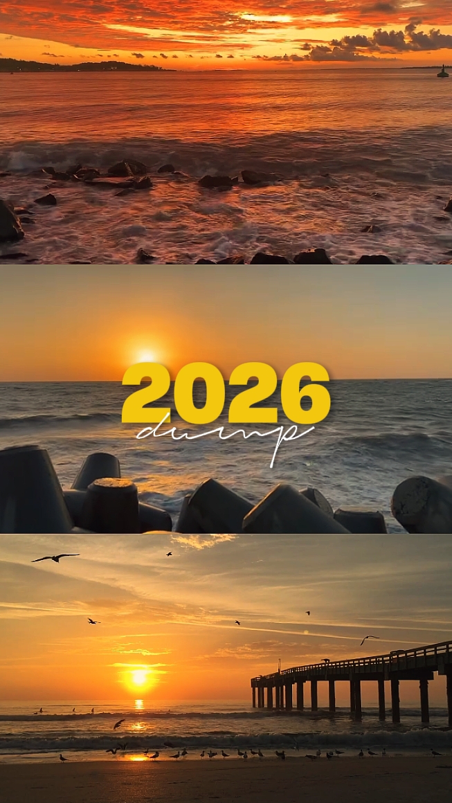 Volcado 2026