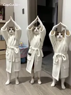 AI猫がお盆踊りを踊る