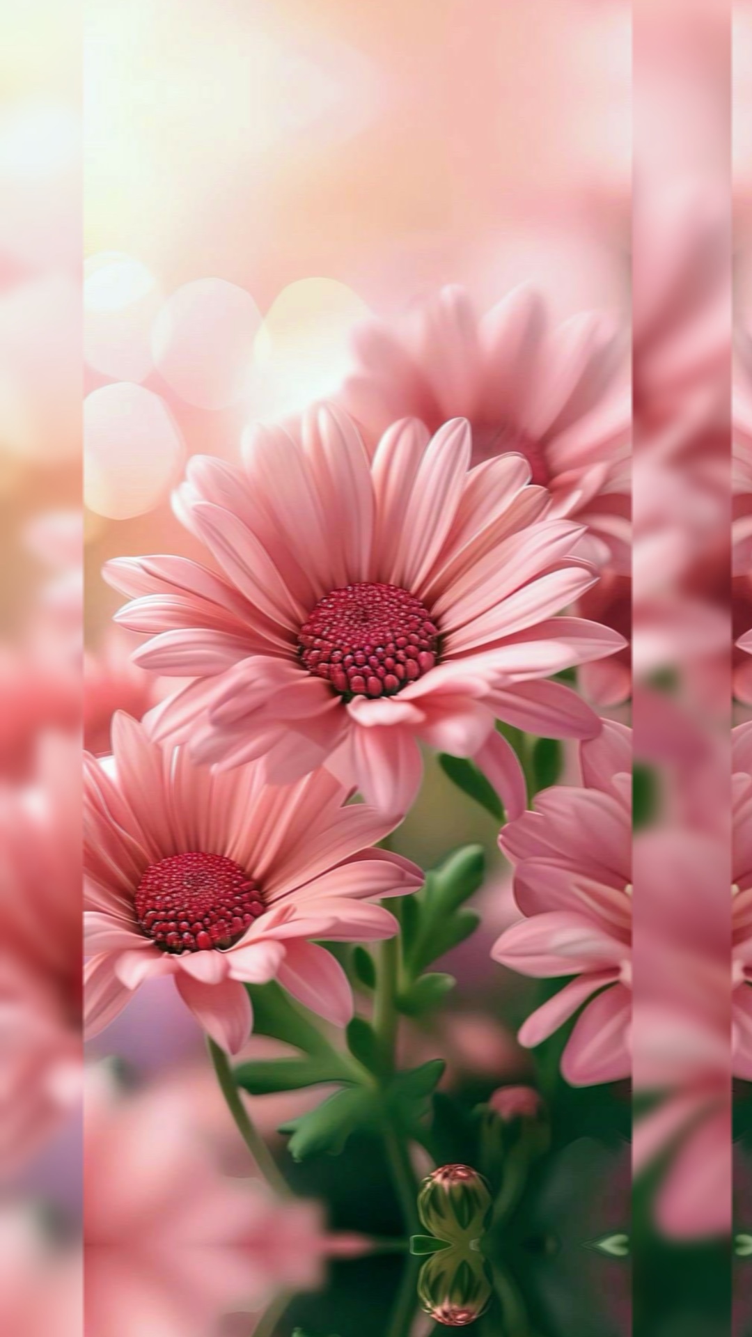 pembe 